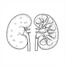cardiology